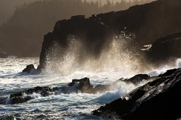 Разбивающиеся волны на берегу — стоковое фото