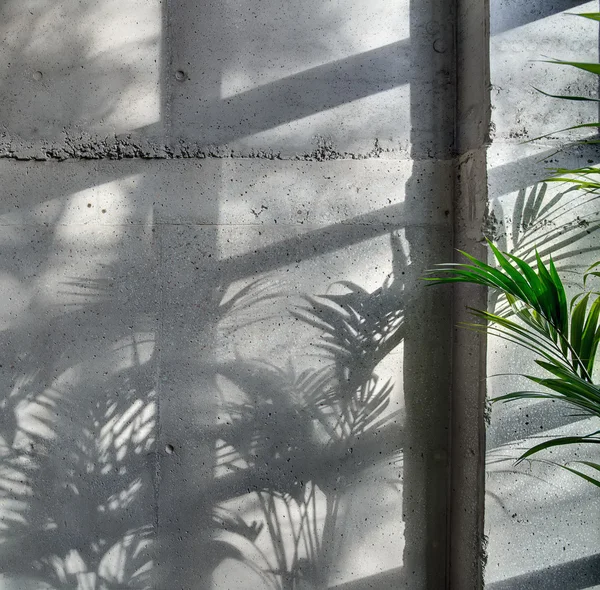 Бетонна стіна з сонячним світлом — стокове фото