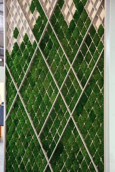 Yeşil çimenler ile stand — Stok fotoğraf