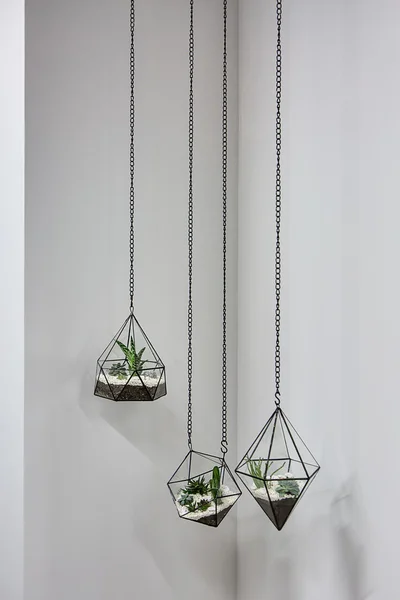 Hangende vazen met planten — Stockfoto