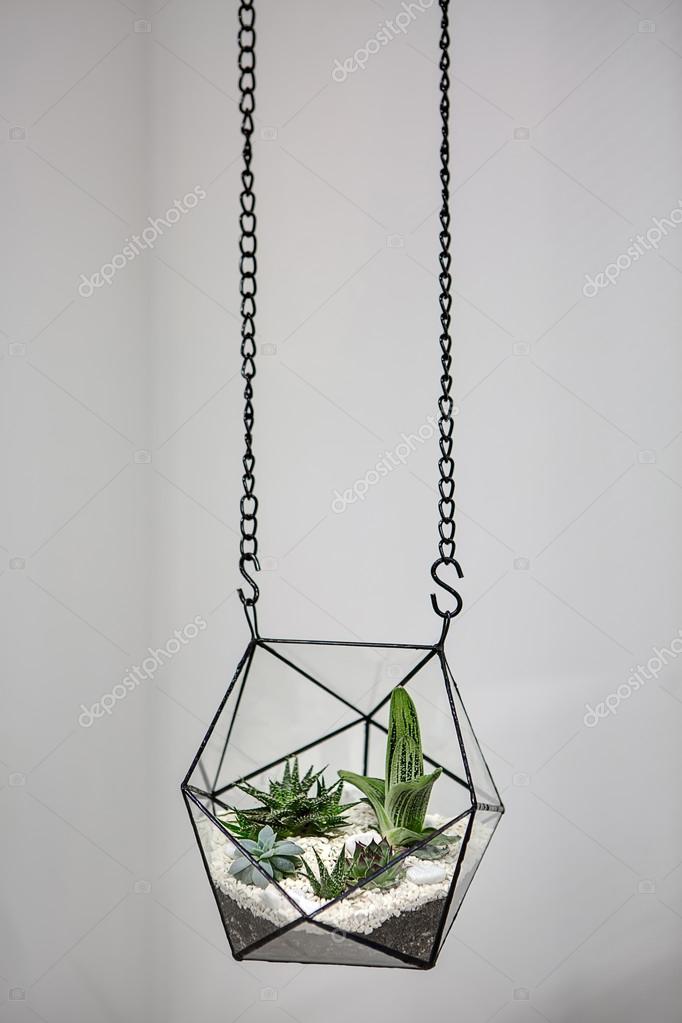 Hanging vase with plants — Stock Photo © bezikus 103675334