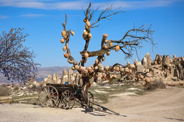 Tree with clay pots — Stock Photo, Image