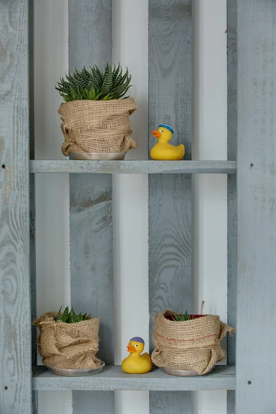 Houten standaard met planten en speelgoed — Stockfoto