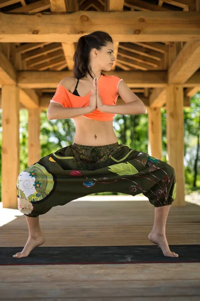 Dívka se zabývá jóga — Stock fotografie