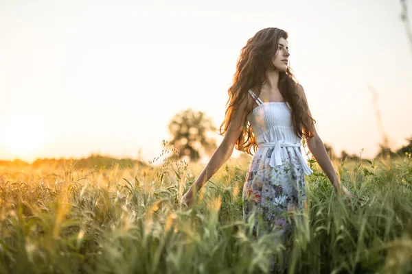 Девушка в ржаном поле — стоковое фото