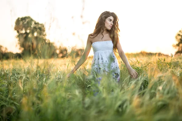 Menina no campo de centeio — Fotografia de Stock