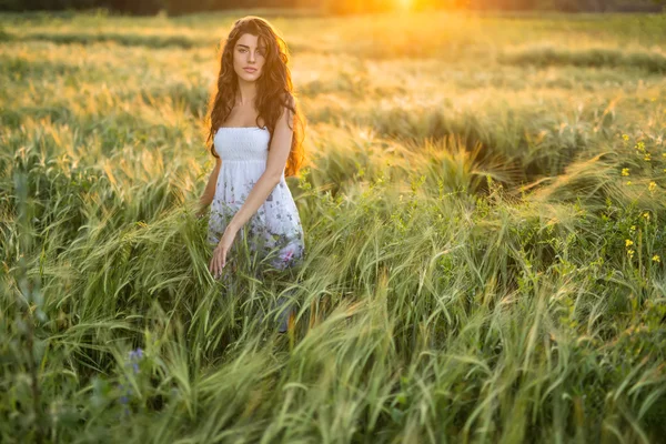 Fille dans le champ de seigle — Photo