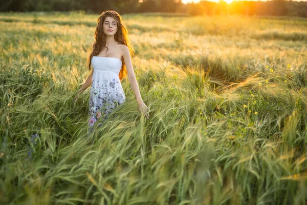 Menina no campo de centeio — Fotografia de Stock