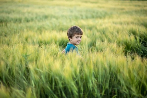 Kind im Roggenfeld — Stockfoto