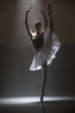 Balerin beyaz tutu