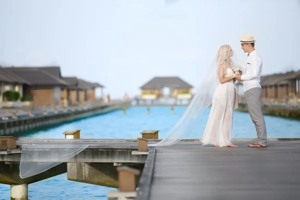 Novia y novio —  Fotos de Stock