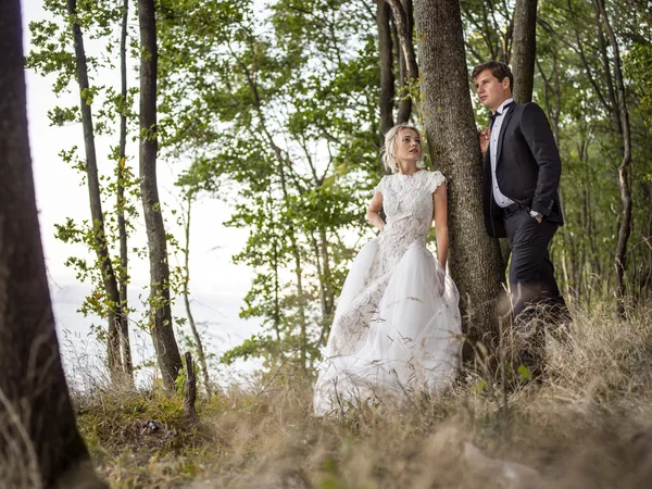 Hochzeitspaar — Stockfoto