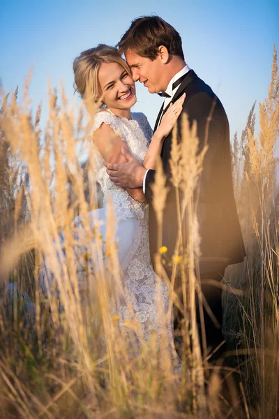 Young wedding couple standing in a field of pigweed in the setti — Stock Photo, Image