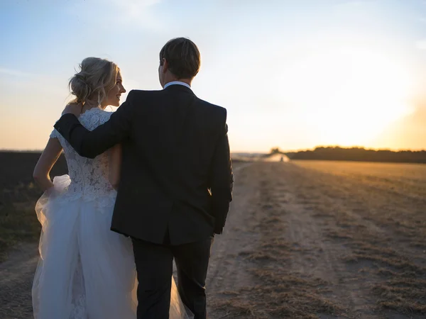 Joven pareja de boda hablando en un abrazo en el campo al atardecer —  Fotos de Stock