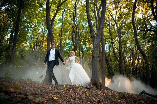 O par de casamento jovem vai a uma floresta pitoresca. Marido lidera — Fotografia de Stock