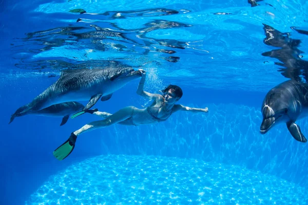 With the dolphins — Stock Photo, Image