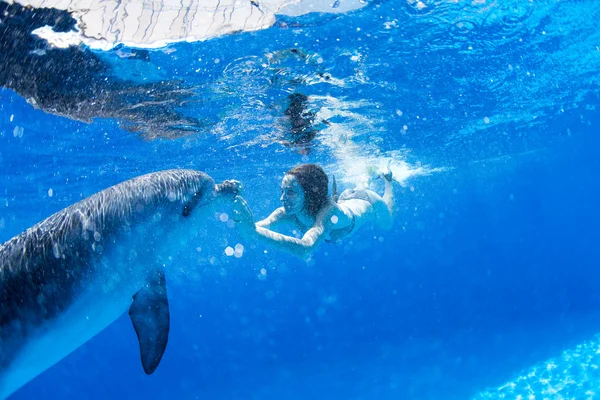 Met de dolfijnen — Stockfoto