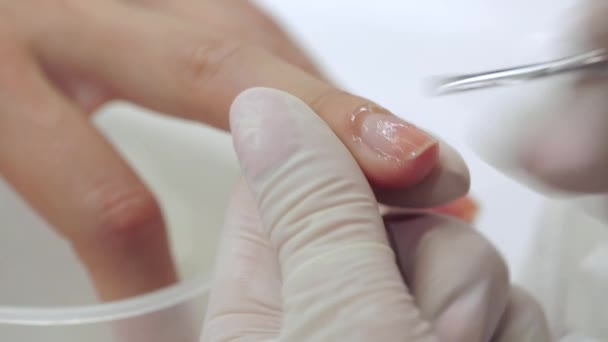 Processus de manucure dans un salon de beauté — Video