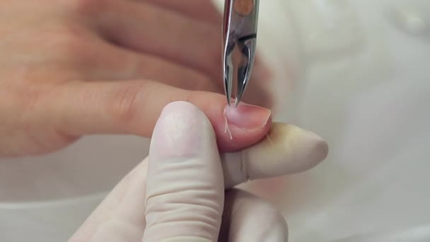 Processo di manicure in un salone di bellezza — Video Stock