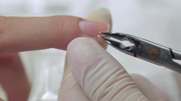 Processo di manicure in un salone di bellezza — Video Stock