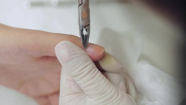 Processo de manicure em um salão de beleza — Vídeo de Stock