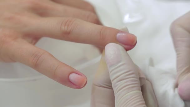 Processo di manicure in un salone di bellezza — Video Stock