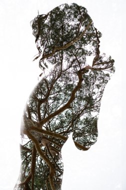 Öğe, dikey, birden fazla pozlama etkisini.