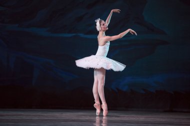 Prima ballerina white swan clipart
