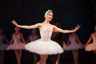 Prima ballerina white swan clipart