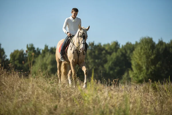 Привлекательный мужчина на лошадях — стоковое фото