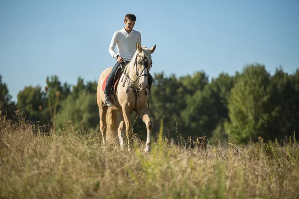 Attraktiv man på hästryggen — Stockfoto