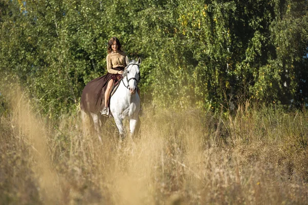 Hermosa chica montando un caballo blanco —  Fotos de Stock