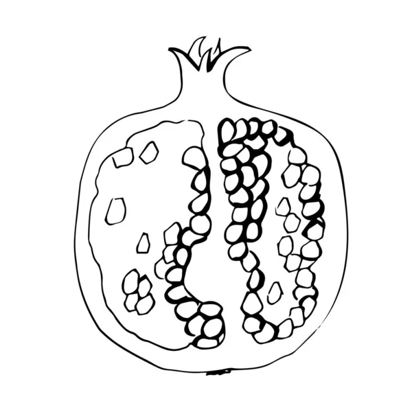 Granátové jablko ilustrace v linii umění černé barvy izolované na — Stockový vektor