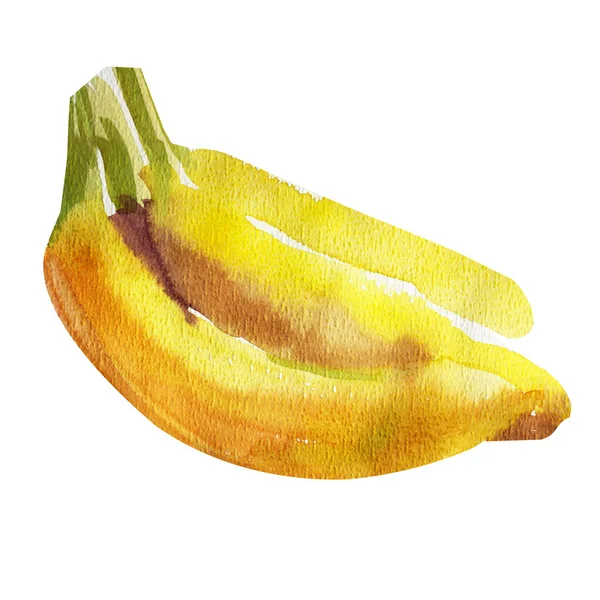 Akvarell illustration av bananer isolerad på vit bakgrund — Stockfoto