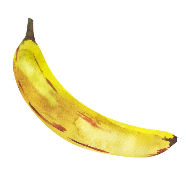 白に隔離された熟したバナナの水彩イラスト — ストック写真