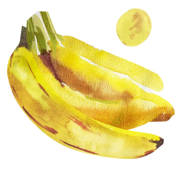 Aquarel illustratie van rijpe bananen geïsoleerd op wit — Stockfoto