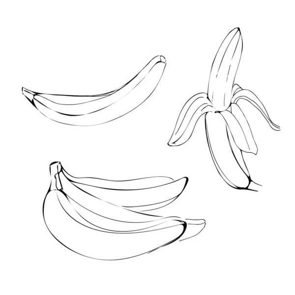 白地に隔離されたラインアートブラックのバナナフルーツイラスト — ストックベクタ