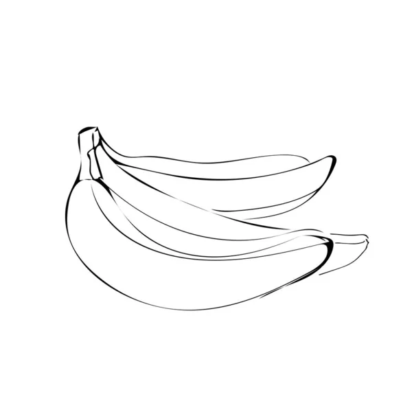 Banana fruit illustration in line art black color isolated on white background — Stock Vector
