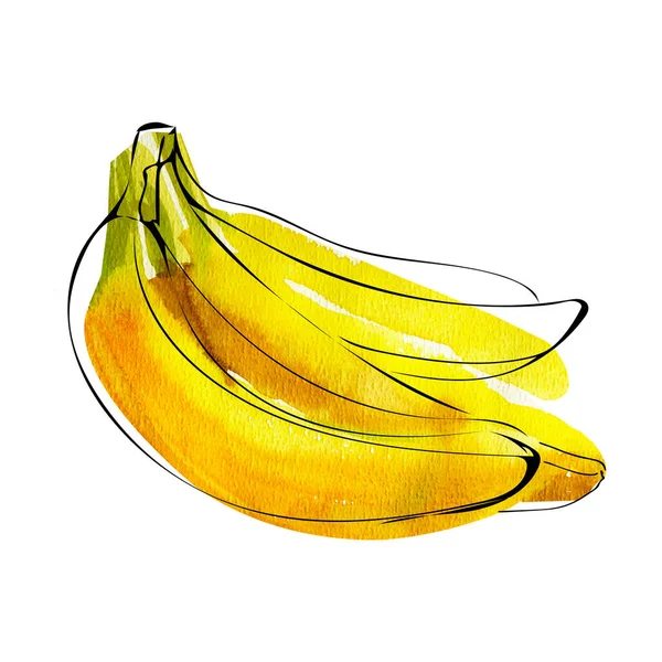 Watercolor illustration of bananas with ink line isolated on white — Stock Photo, Image