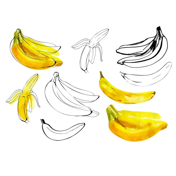 白を基調としたバナナセット水彩イラスト&インククリップ — ストック写真
