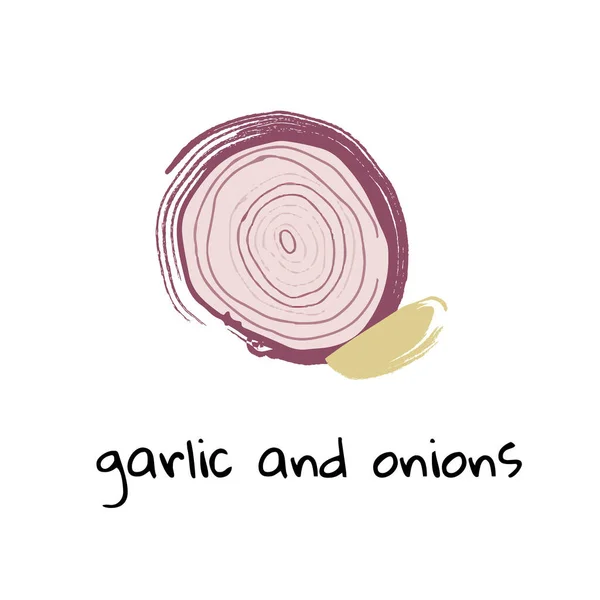 Garlic and onions illustration on white background — 스톡 벡터