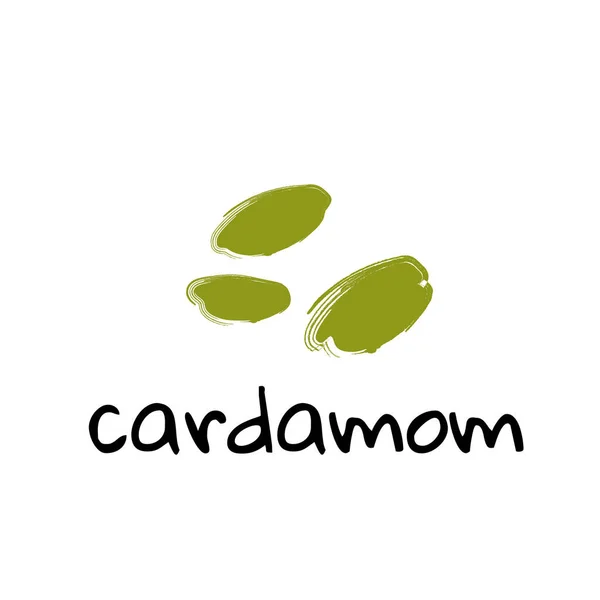 Cardamom illustration on white background — Stockvektor