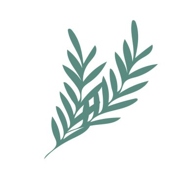 Tropikal yaprak çizimi beyaza izole edildi