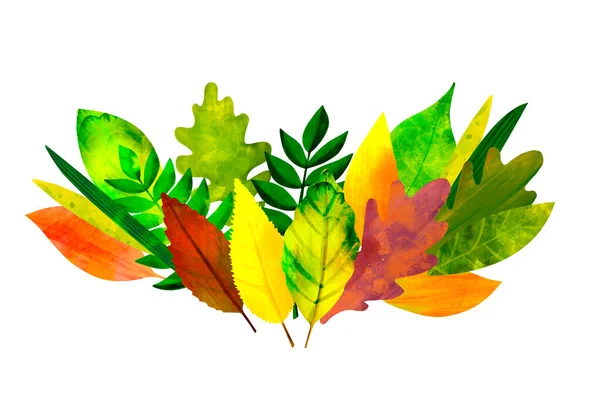 Botanische illustratie Herfst bladeren geïsoleerd op wit — Stockfoto