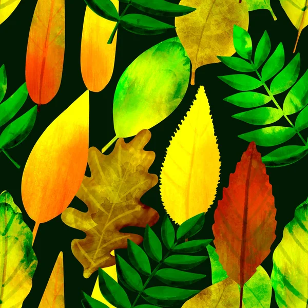 Padrão sem costura Ilustração botânica Folhas de outono em preto — Fotografia de Stock