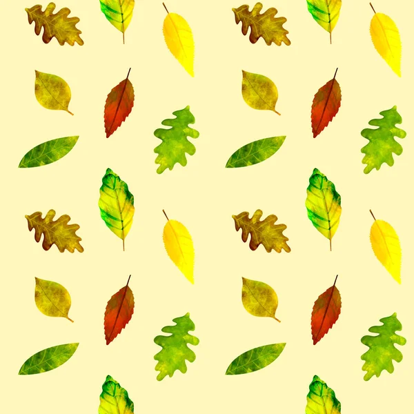 Modello senza cuciture Illustrazione botanica Foglie d'autunno su un giallo chiaro — Foto Stock