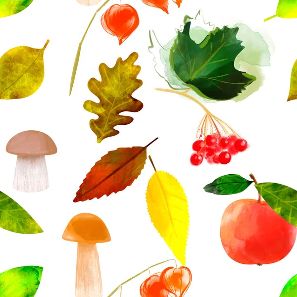 Naadloos patroon Botanische illustratie Herfst bladeren en oogst op een witte achtergrond — Stockfoto