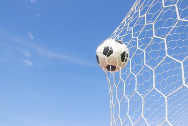 Futbol topu net 
