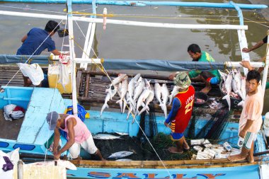 Balıkçılar yüzgeçleri köpekbalıkları kesmek