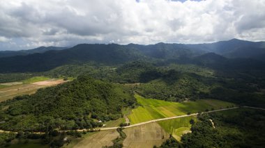 pirinç alan Filipinler